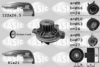 VW 074121005MX074198119P Water Pump & Timing Belt Kit